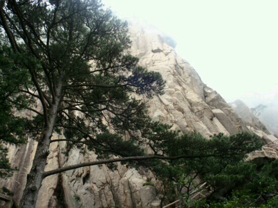 万仙山-辉县市必去景点