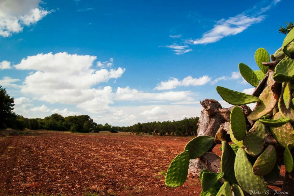 B&B Villa Chiara主图