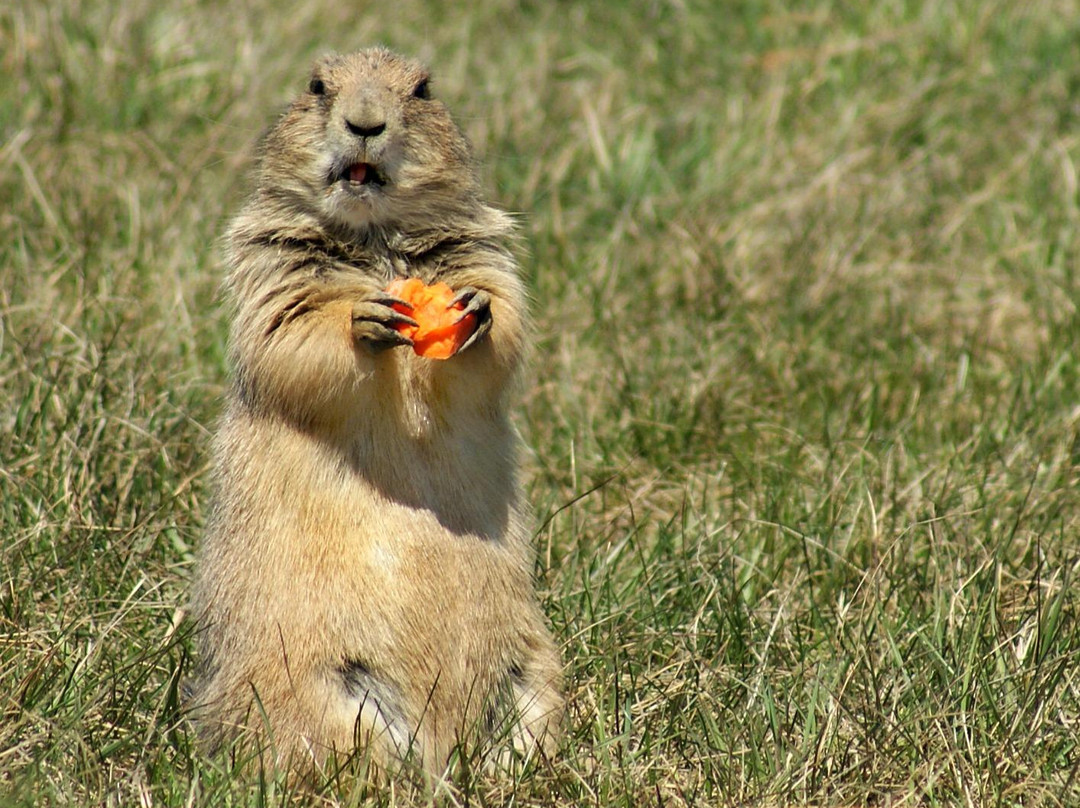 Fort Whyte Alive-温尼伯必去景点