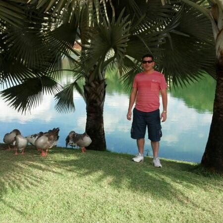 因浩特姆-Brumadinho必去景点