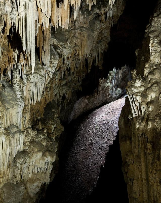 Grotta Torri di Slivia - Tour-Duino Aurisina必去景点