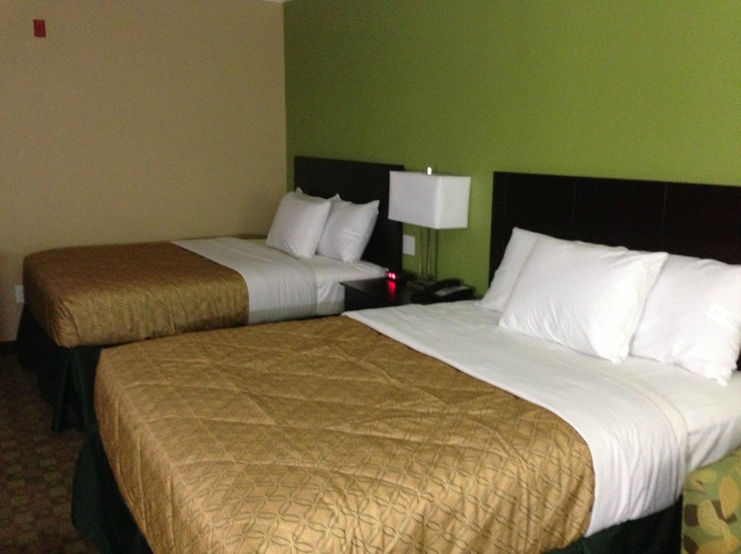 Studio 6 Leesville, LA主图