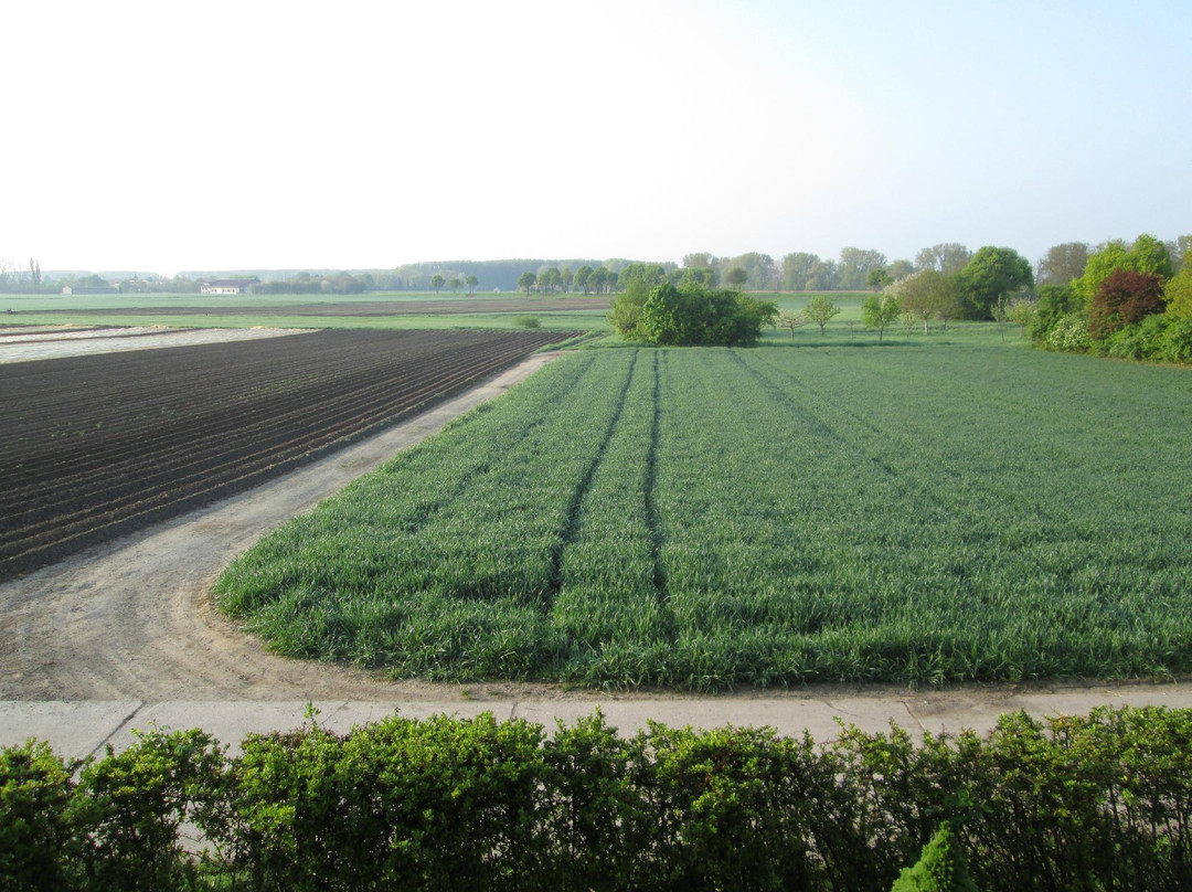 Hotel Garni Feldblick主图