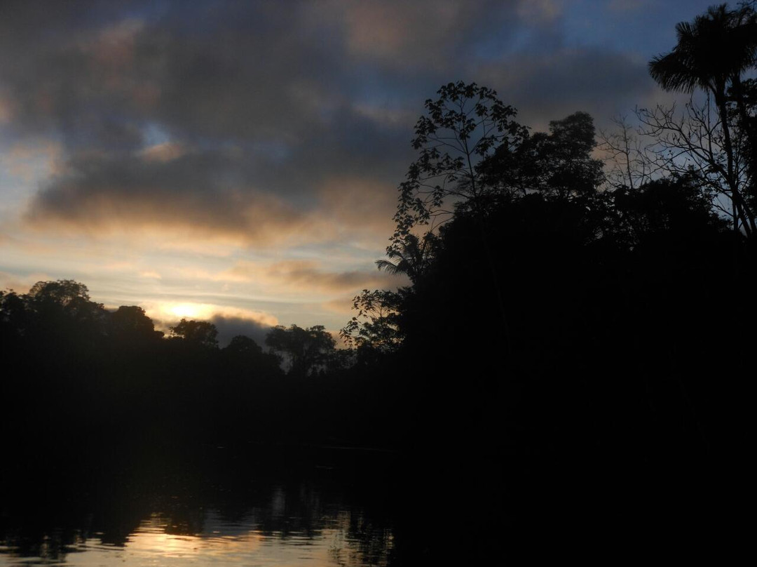 Tapiche Jungle Reserve景点图片