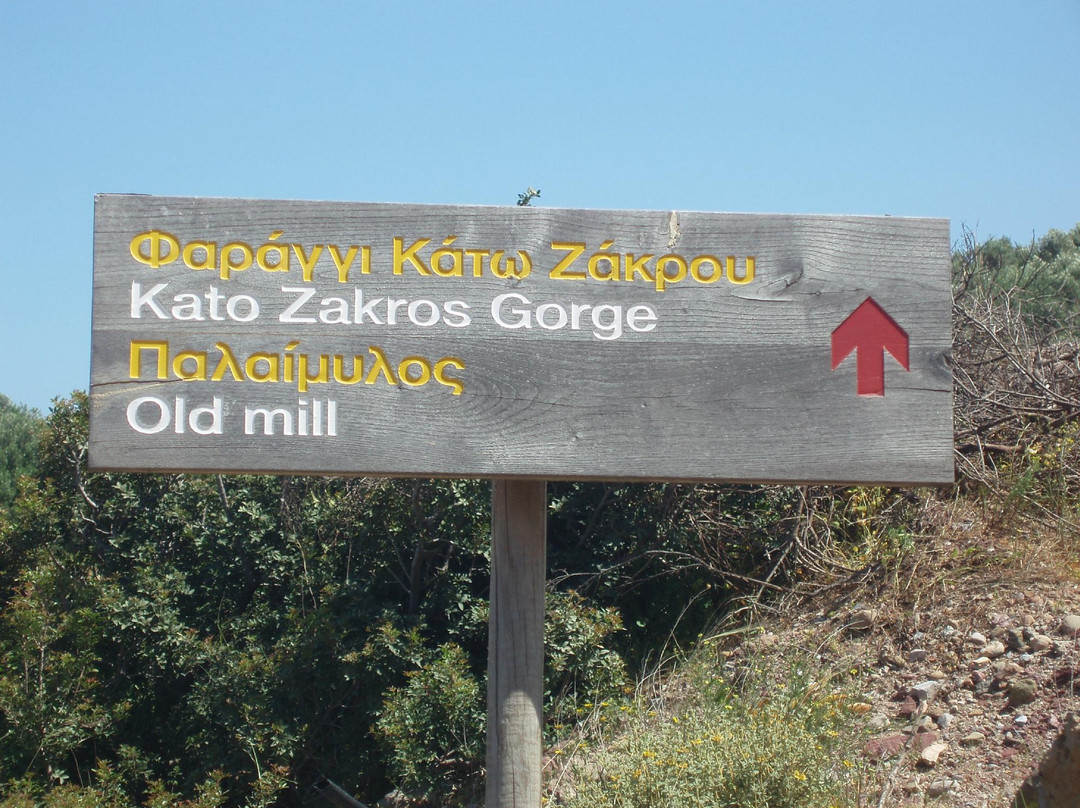 Gorge of the Dead-Kato Zakros必去景点