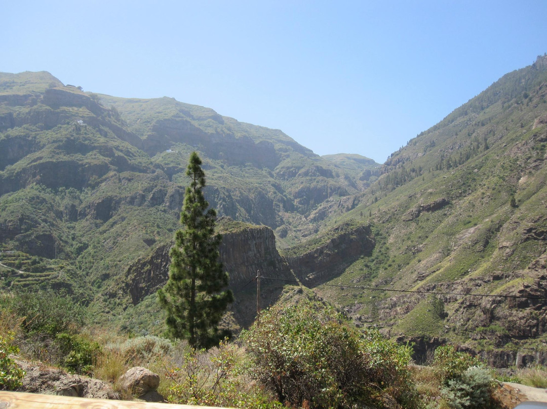 Valle de Agaete景点图片