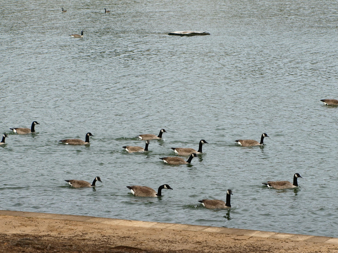梅蒙德庄园-里士满必去景点