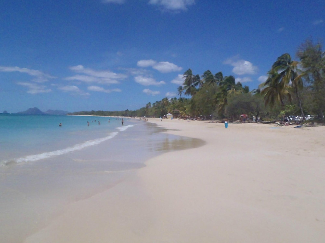 Plage des Salines-Sainte-Anne必去景点
