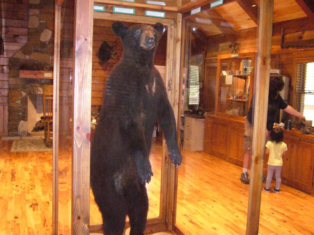 Oakland Nature Preserve-Oakland必去景点