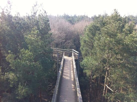 Salcey Forest-Hartwell必去景点