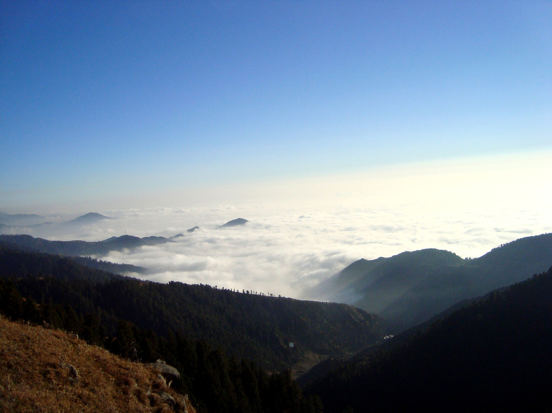 Dainkund Peak Trek景点图片