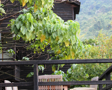 柚柑湾度假村主图