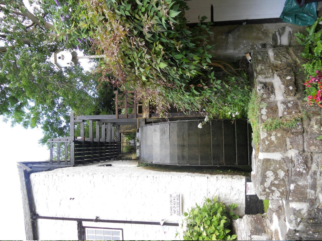 Hele Corn Mill & Tea Room-伊尔弗勒科姆必去景点
