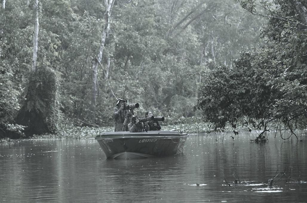 North Borneo Safari Day Tours-山打根必去景点