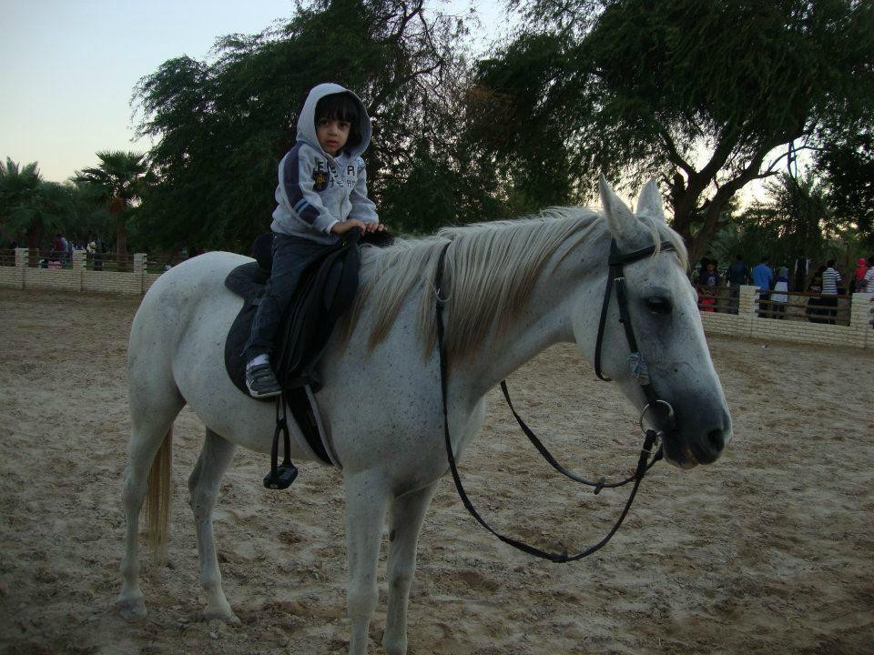 Al Areen Wildlife Sanctuary-Sakhir必去景点