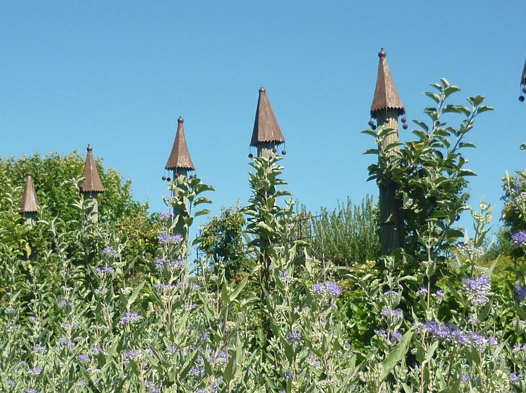 La Provence de Claire Tours-阿维尼翁必去景点