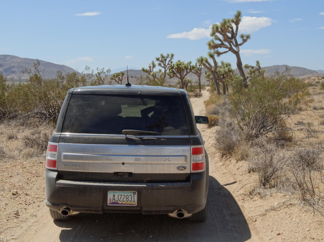 Queen Valley Road-约书亚树国家公园必去景点