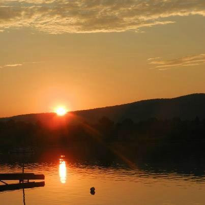 Maverick Moose Lodging & Cabins