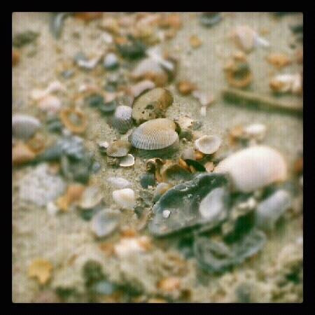 Tybee Island Beach-泰碧岛必去景点