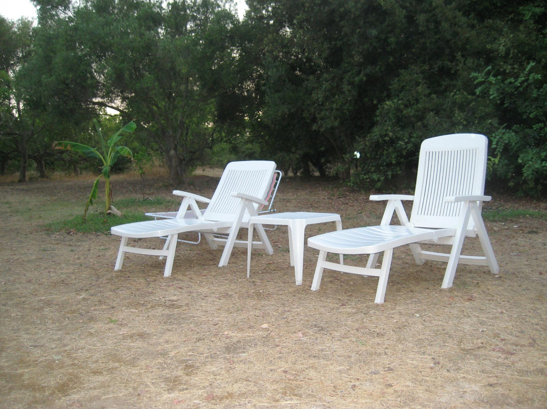 B&B Persichella主图