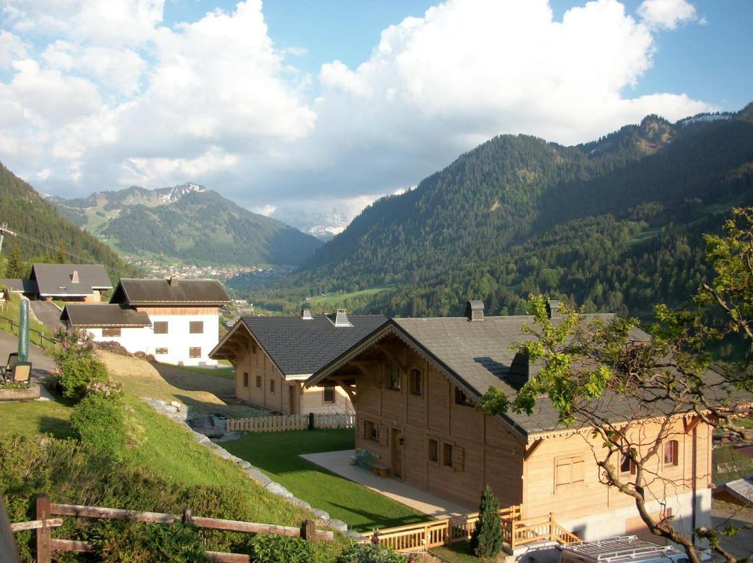 Chalet Le Dragon Ski Chalet