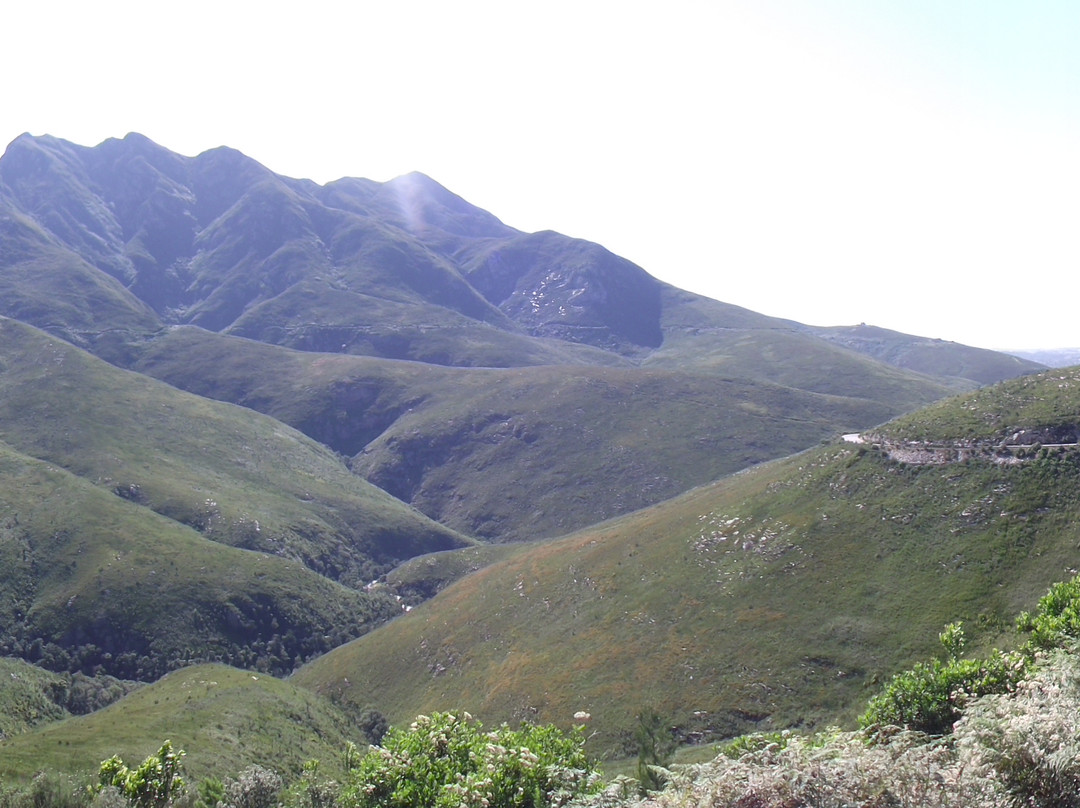 Eden Mountain Biking Tours- Day Tours-乔治必去景点