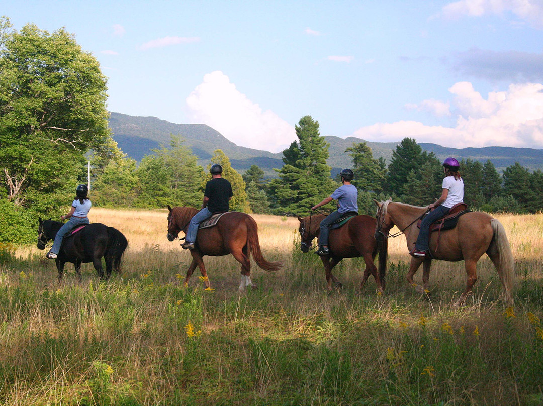 Adirondack Equine Center-普莱西德湖必去景点