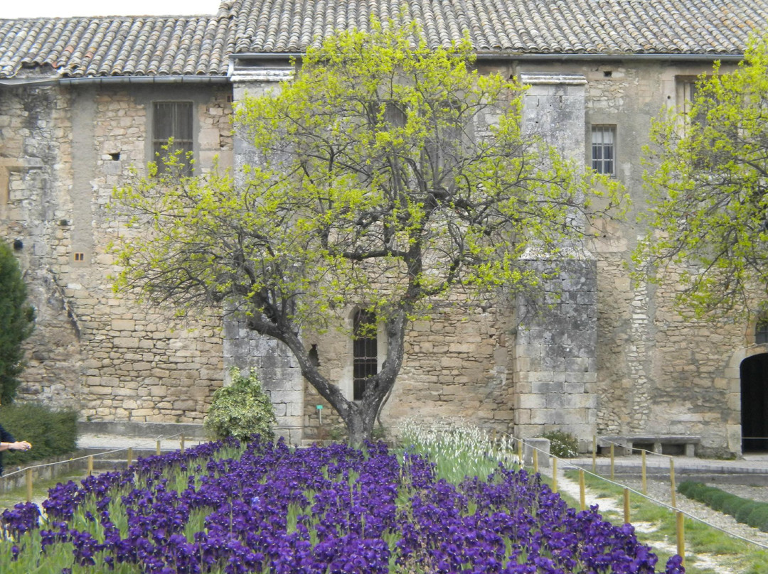 Experience Provence Tours景点图片
