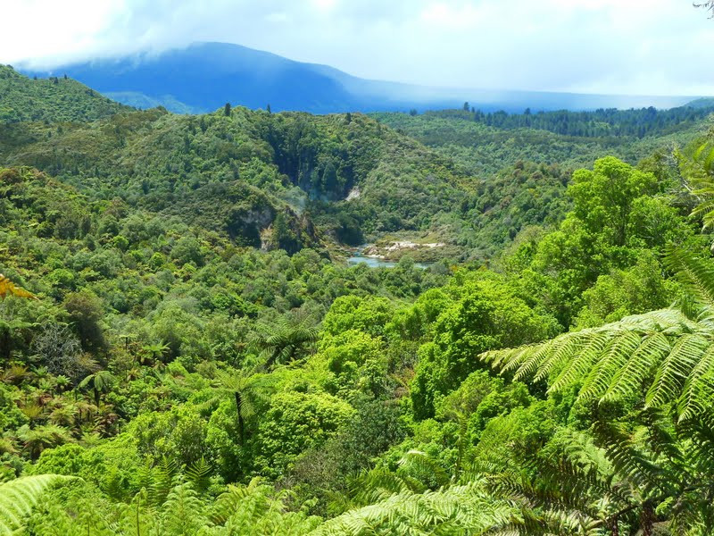 Waimangu Volcanic Valley景点图片