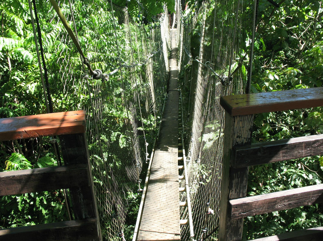 萨瓦伊岛旅游景点-Falealupo Canopy Walk
