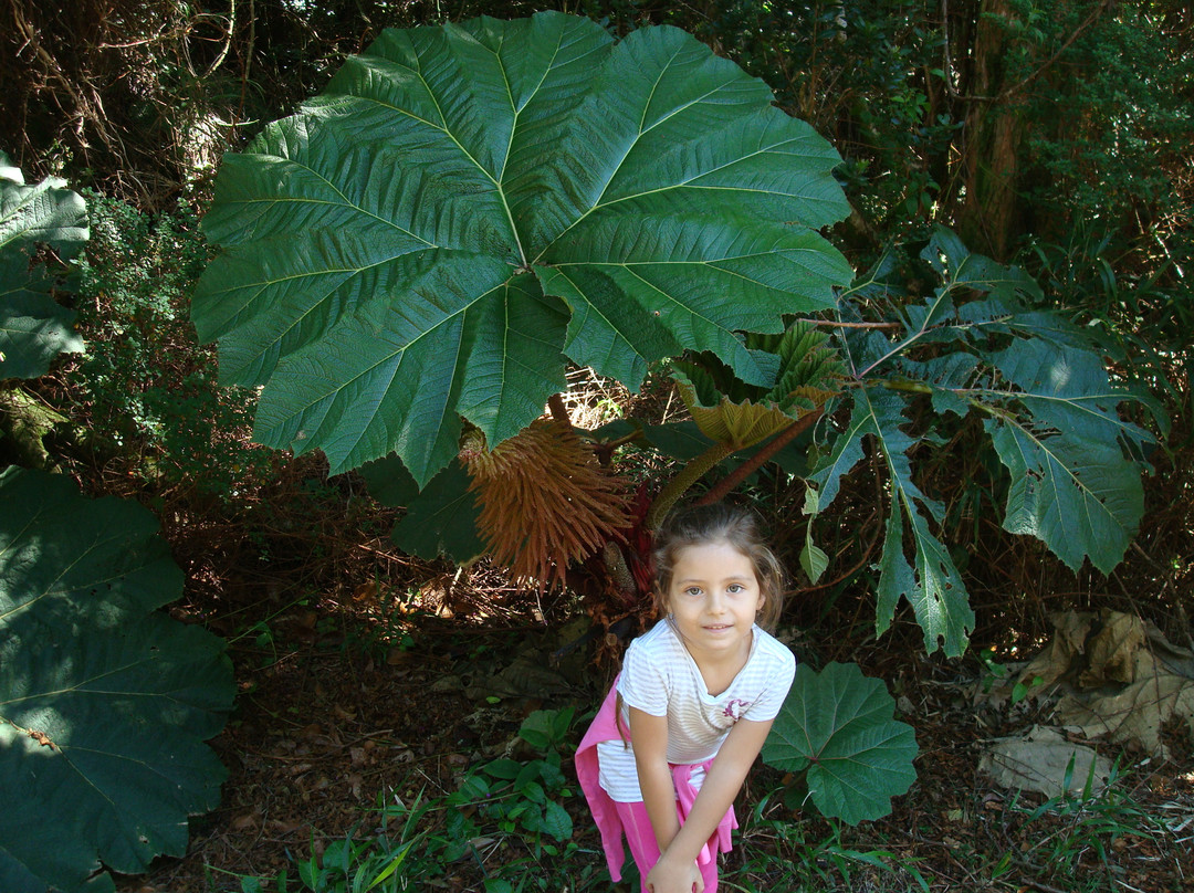 Costa Rica Delights Day Tours景点图片