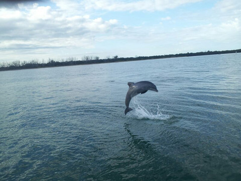 Island Boat Adventures-圣彼德斯堡必去景点