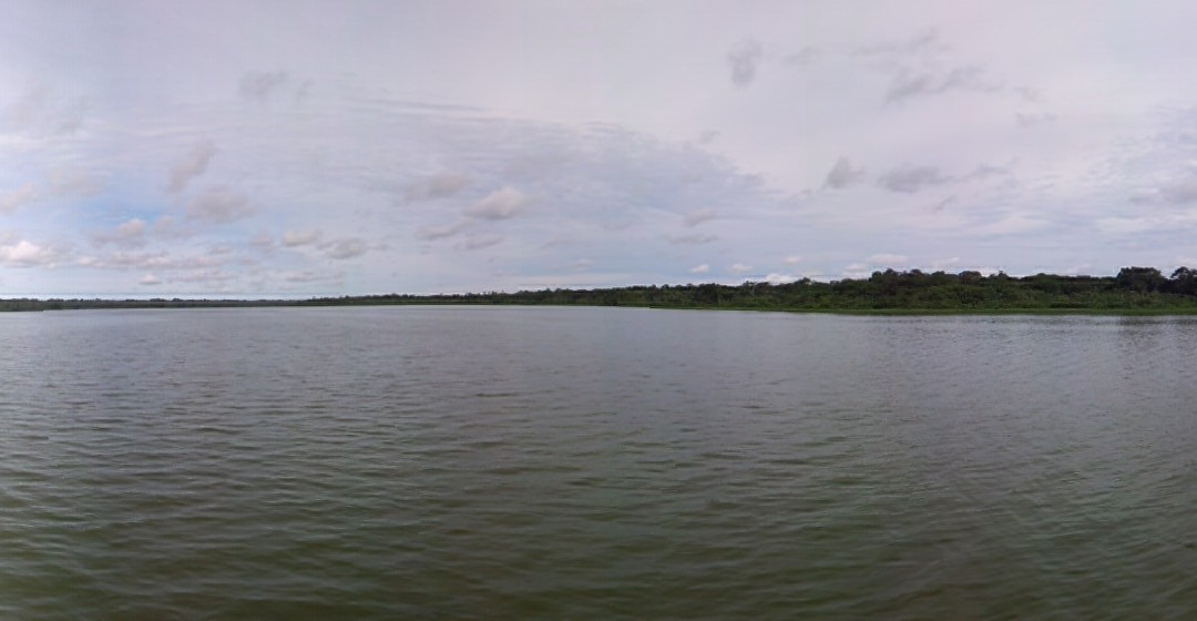 Lake Limoncocha景点图片