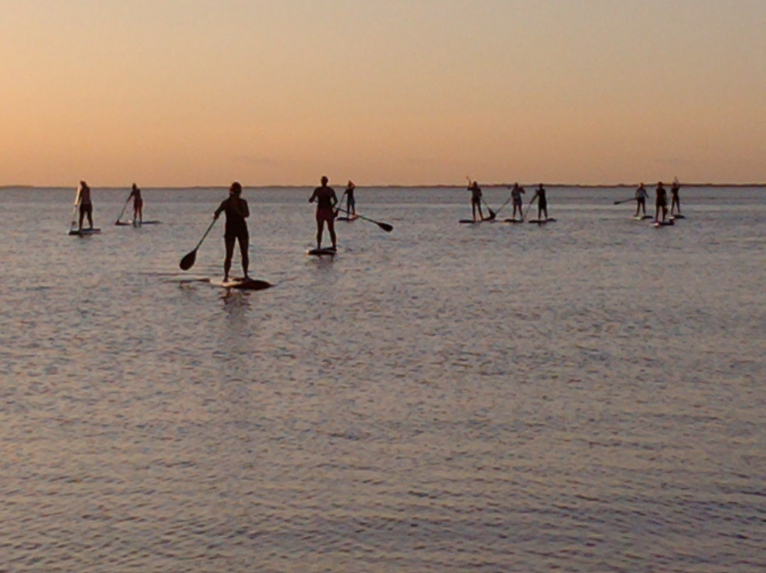 Sarasota Paddleboard Company-萨拉索塔必去景点