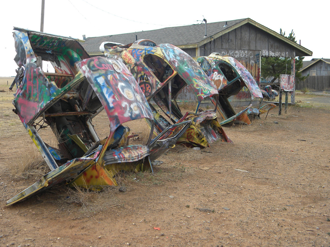 Slug Bug Ranch景点图片