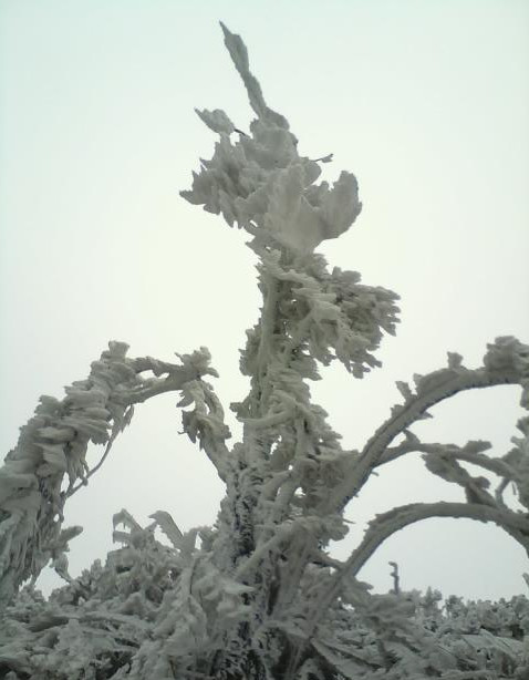 天湖山-泰和县必去景点