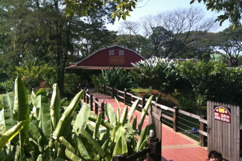 Farm Chokchai景点图片