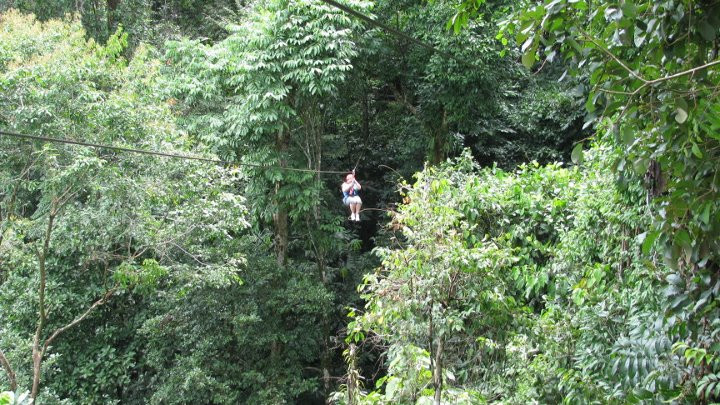 Canopy Safari景点图片