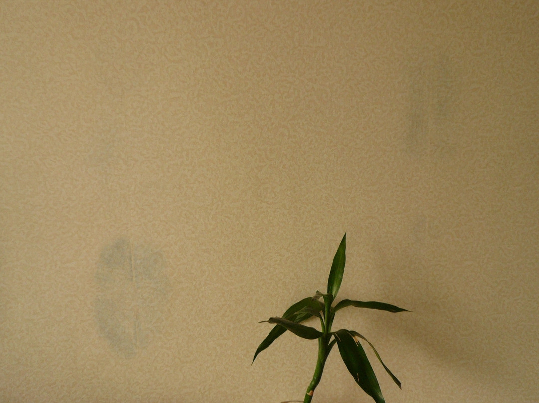 艾伦国际酒店主图