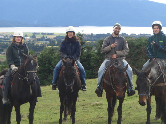 Westray Adventures - Horse Treks & Quad Tours-蒂阿瑙必去景点