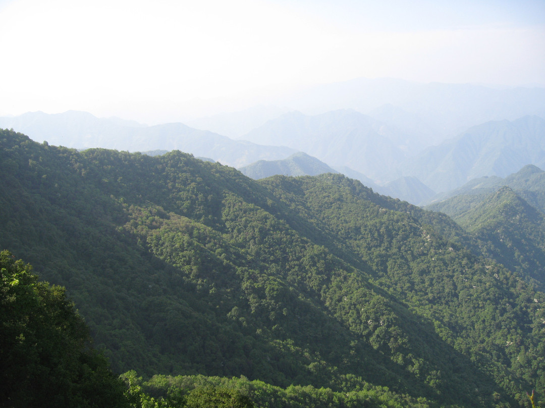 南宫山国家森林公园景点图片