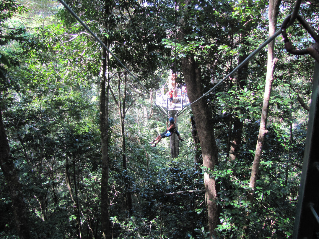 Jungle Tours And Trekking景点图片