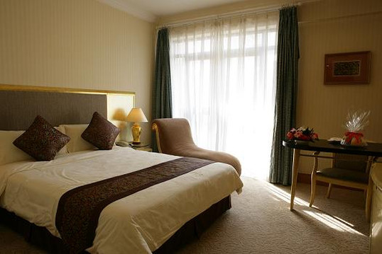 中豪大酒店主图