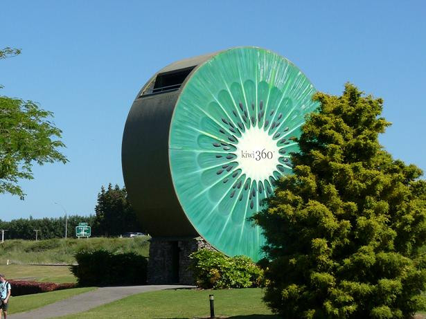 Kiwi 360景点图片
