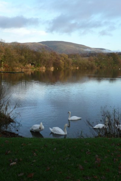 Gartmorn Dam Country Park & Nature Reserve-Alloa必去景点