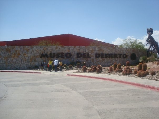 Museo del Desierto-萨尔蒂必去景点