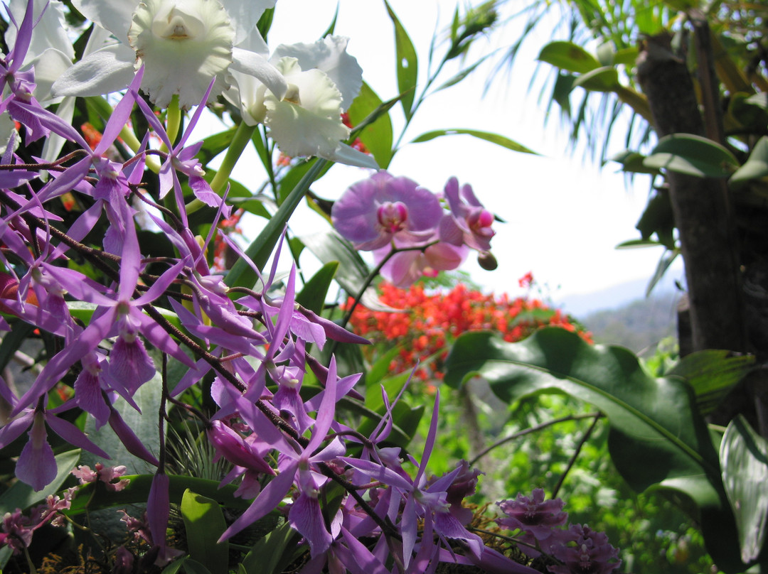 Jardín Botánico de Vallarta-Cabo Corrientes必去景点