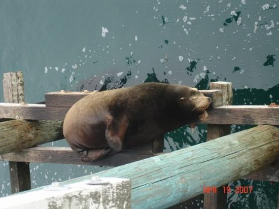 圣克鲁斯码头-圣克鲁斯必去景点