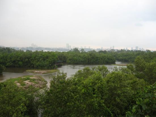双溪布洛湿地保护区-新加坡必去景点