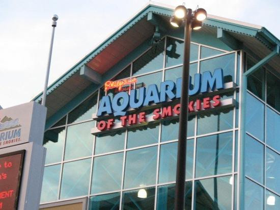 莱利大烟山水族馆-盖林柏格必去景点